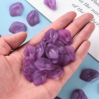 Transparent Frosted Acrylic Pendants MACR-S371-03A-743-1