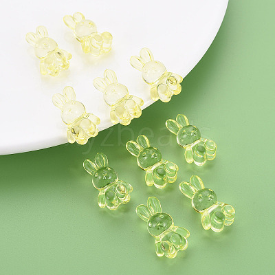 Transparent Acrylic Beads LS-MACR-S373-81-B06-1