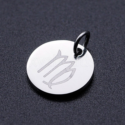 Non-Tarnish 201 Stainless Steel Charms STAS-T049-T643-6P-1