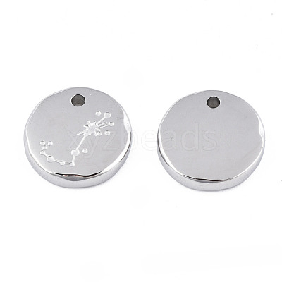 Non-Tarnish 316 Surgical Stainless Steel Charms STAS-S116-418J-P-1