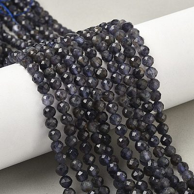 Natural Iolite Beads Strands G-J400-E05-02B-1