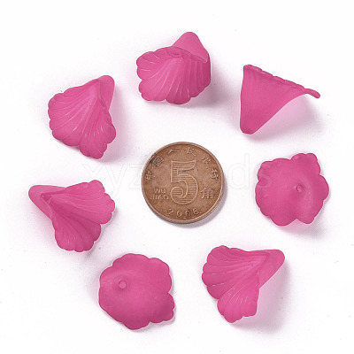 Transparent Acrylic Bead Caps PL551-C16-1