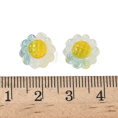 Translucent Resin Beads RESI-D312-04A-1