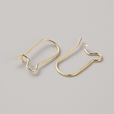 Brass Hoop Earring Findings FIND-WH0110-779A-G-1
