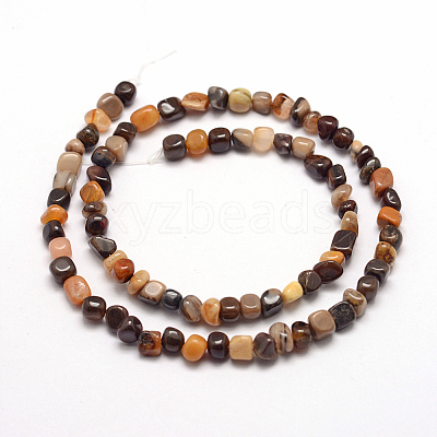 Natural Petrified Wood Beads Strands G-F465-20B-1