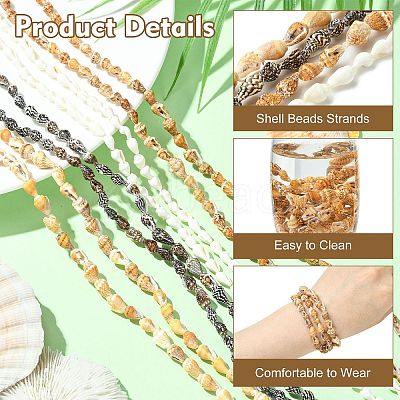 4 Strands 4 Colors Natural Freshwater Shell Beads Strands SHEL-CJ0001-38-1