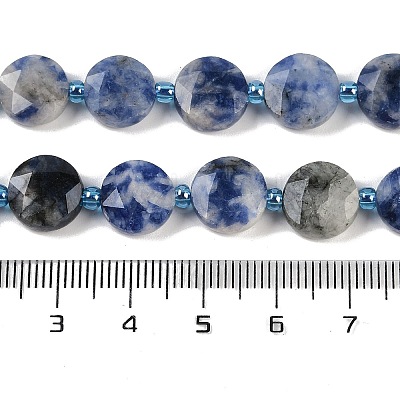 Natural Blue Spot Jasper Beads Strands G-C116-A79-01-1