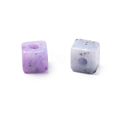 Transparent Acrylic Beads OACR-H044-04A-05-1
