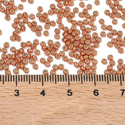 MIYUKI Round Rocailles Beads X-SEED-G007-RR4207-1