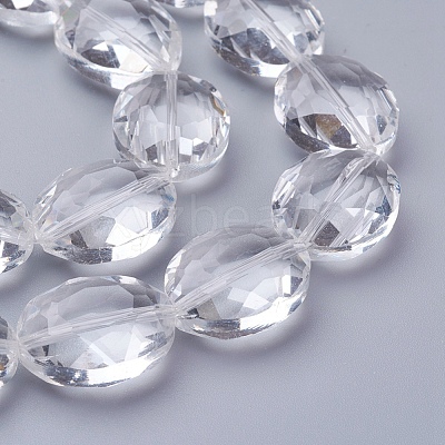 Glass Bead Strands X-GLAA-S003-20x11mm-14-1