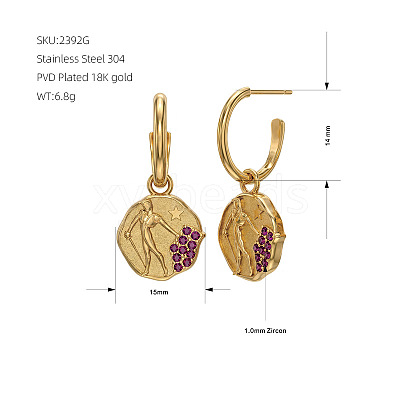 304 Stainless Steel Micro Pave Cubic Zirconia Stud Dangle Earrings WGC9028-01-1