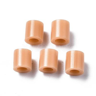 PE Fuse Beads X-DIY-R013-18-1