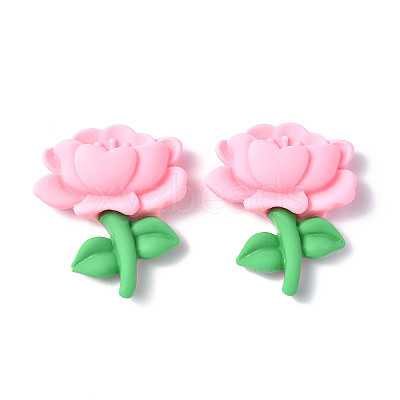 Opaque Resin Cabochons CRES-P023-04A-1