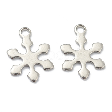 Tarnish Resistant 304 Stainless Steel Charms STAS-H157-06P-1