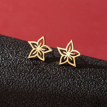 Stainless Steel Stud Earrings for Women PW-WGFE412-27-1