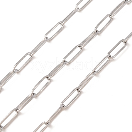 Tarnish Resistant 304 Stainless Steel Paperclip Chains CHS-L022-02P-1