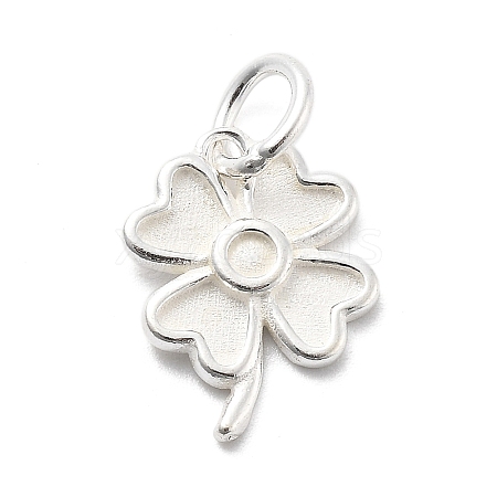 925 Sterling Silver Charms STER-S009-12B-S-1