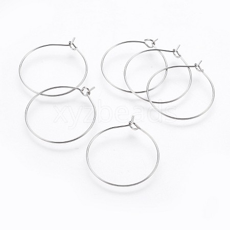 316 Surgical Stainless Steel Hoop Earring Findings STAS-P221-01A-P-1