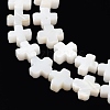 Natural Freshwater Shell Beads Strands SSHEL-B002-11-3