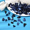 Dyed Natural Freshwater Shell Chips Beads SHEL-O001-12C-2