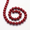Shell Pearl Beads Strands X-BSHE-L026-01-10mm-01-2