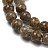 Natural Golden Leaf Jasper Beads Strands G-R494-A20-02-3