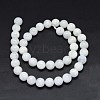 Natural Rainbow Moonstone Beads Strands G-F602-03-12mm-2