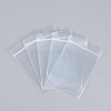 Polyethylene Zip Lock Bags OPP-R007-22x32-1