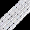 Electroplate Imitation Jade Glass Beads Strands EGLA-Q132-03A-B01-1