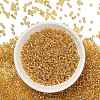 TOHO 8/0 Round Beads SEED-TR08-0022A-2