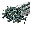 TOHO 6/0 Round Beads SEED-XTR06-0710-1