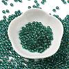 Glass Seed Beads SEED-H002-C-A050-2