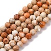 Dyed Natural Regalite/Imperial Jasper/Sea Sediment Jasper Beads Strands G-B124-C02-10-1