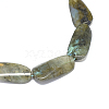 Natural Labradorite Beads Strands G-F632-01-2