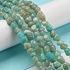 Natural Amazonite Bead Strands G-F465-59-2