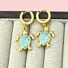 201 Stainless Steel Enamel Hoop Earrings FS-WG6C184-03-1