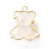 Transparent Resin Crystal Rhinestone Pendants KK-H438-04G-01-3