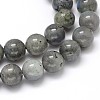 Natural Labradorite Round Bead Strands G-O087-04-8mm-2