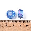 Transparent Glass European Beads GPDL-N005-D14mm-A13-3