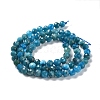 Natural Apatite Beads Strands G-J400-E01-05-2