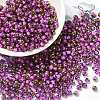 Glass Seed Beads X1-SEED-H002-B-D207-1