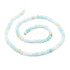 Natural Amazonite Beads Strands G-E569-H14-2