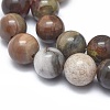 Natural Petrified Wood Beads Strands LS-G-I254-07B-3
