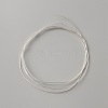 999 Fine Silver Rectangle Flat Wire STER-WH0010-12A-S-1