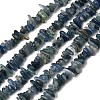 Natural Kyanite/Cyanite/Disthene Chip Beads Strands G-E271-78-2