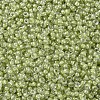 MIYUKI Round Rocailles Beads SEED-G007-RR0378-3