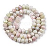 Ombre Effect Dyed Glass Beads Strands LS-GLAA-C023-02-B03-2