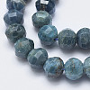 Natural Apatite Beads Strands G-K246-38-3