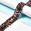 Natural Colorful Tourmaline Beads Strands G-D467-B02-4