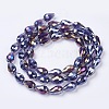 Electroplate Glass Beads Strands LS-EGLA-D015-15x10mm-07-1